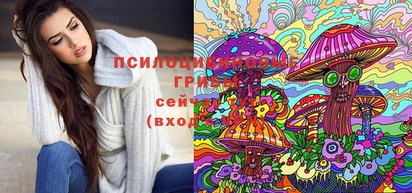 дурь Алексеевка