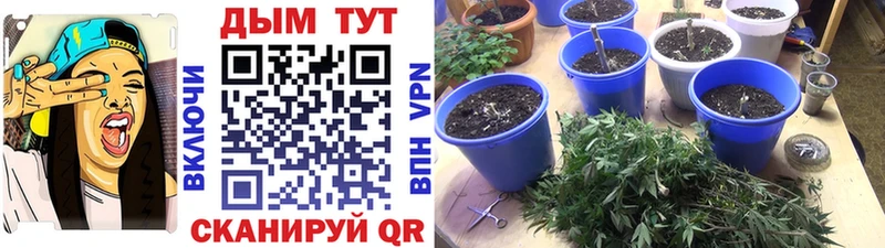 Бошки марихуана LSD WEED Александровск